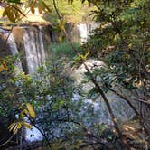 Review photo of Lake Powhatan — National Forests In North Carolina by Dave V., July 1, 2021