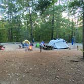 Review photo of Lake Powhatan — National Forests In North Carolina by Dave V., July 1, 2021