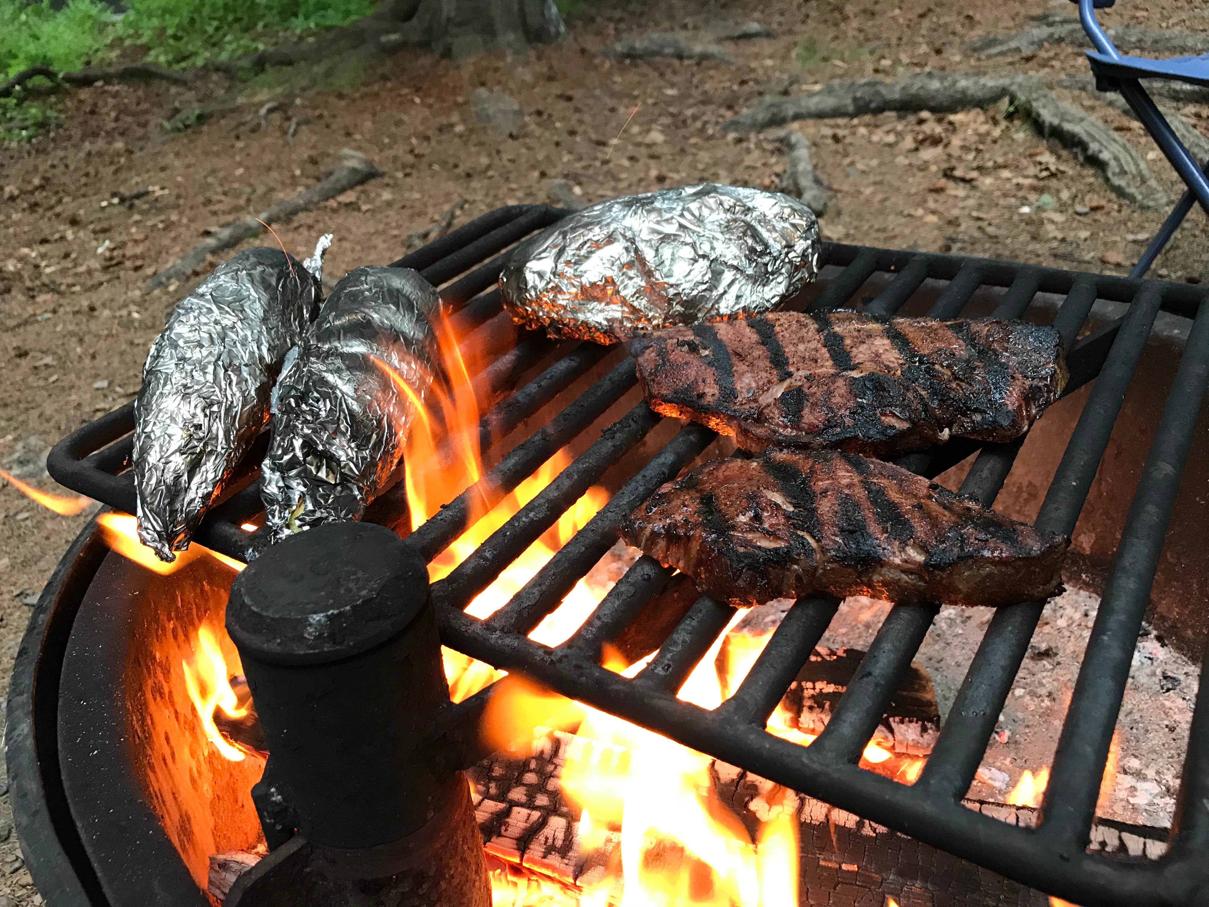 Camper-submitted photo at Judge C. R. Magney State Park Campground near Grand Marais, MN