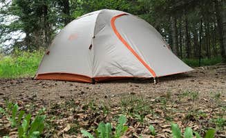Andrea G.'s photo at Judge C. R. Magney State Park Campground near Grand Marais, MN