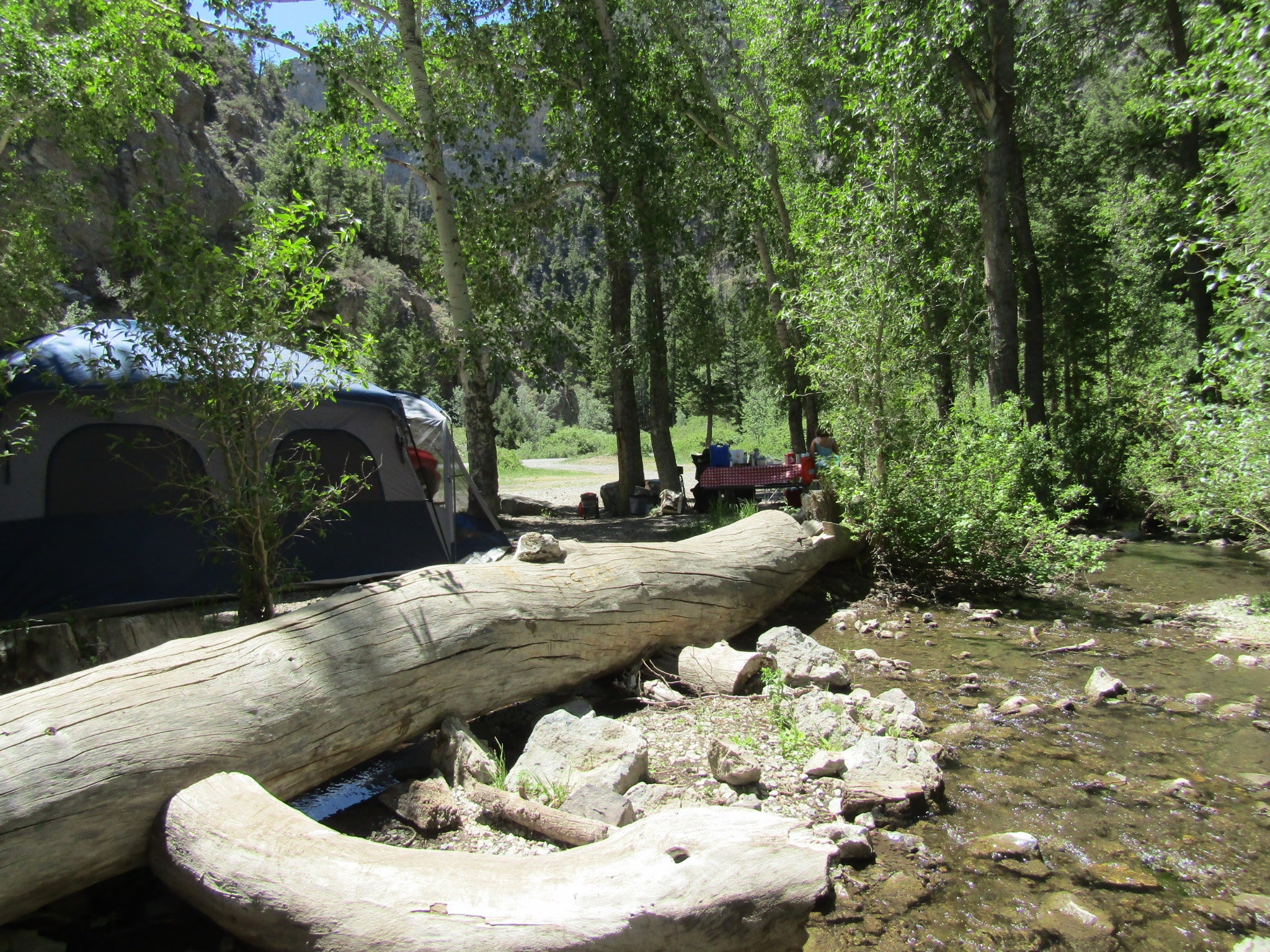 Camper submitted image from Pass Creek Narrows Camping Area & Picnic Site - 1