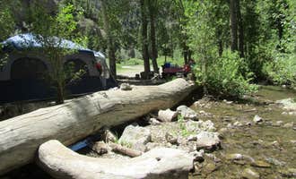 Camping near Copper Basin Guard Station: Pass Creek Narrows Camping Area & Picnic Site, Mackay, Idaho