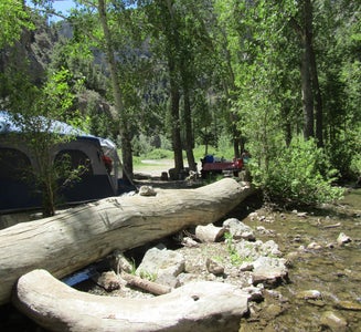Camper-submitted photo from Pass Creek Narrows Camping Area & Picnic Site