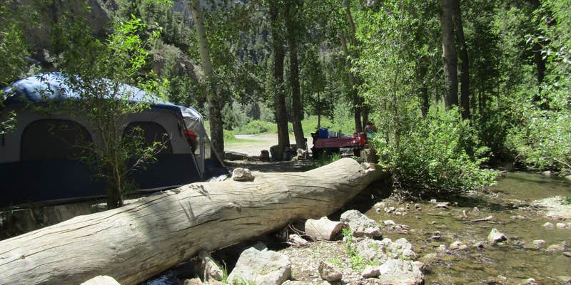 Camper submitted image from Pass Creek Narrows Camping Area & Picnic Site