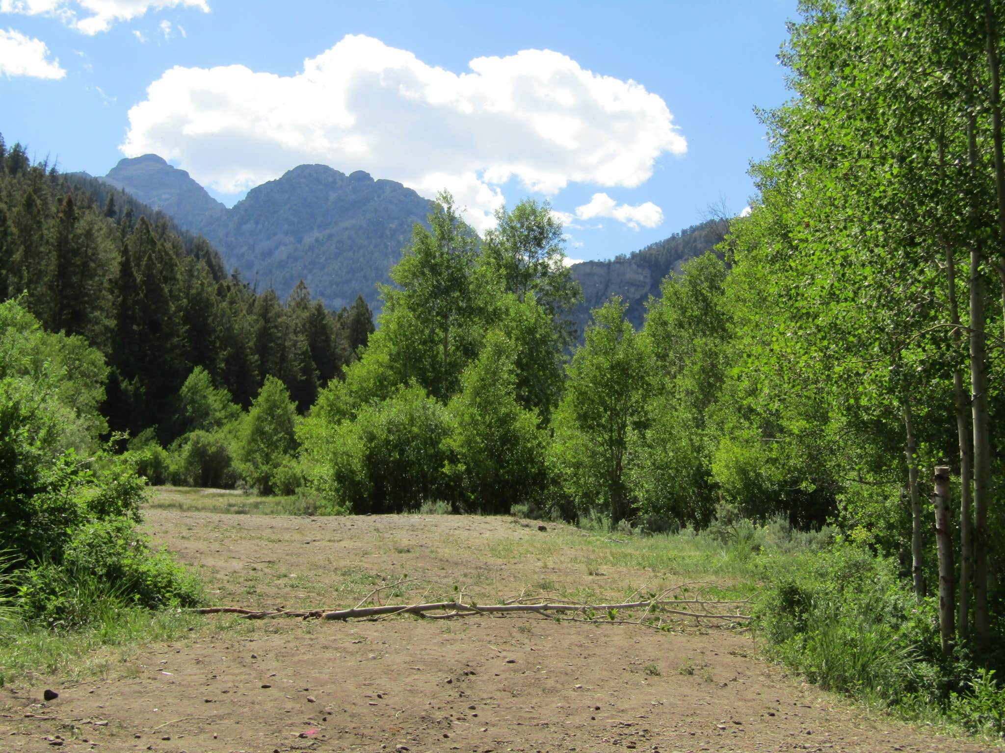 Camping near BLM Skull Canyon Road Dispersed: Bear Creek Dispersed Campground, Mackay, Idaho