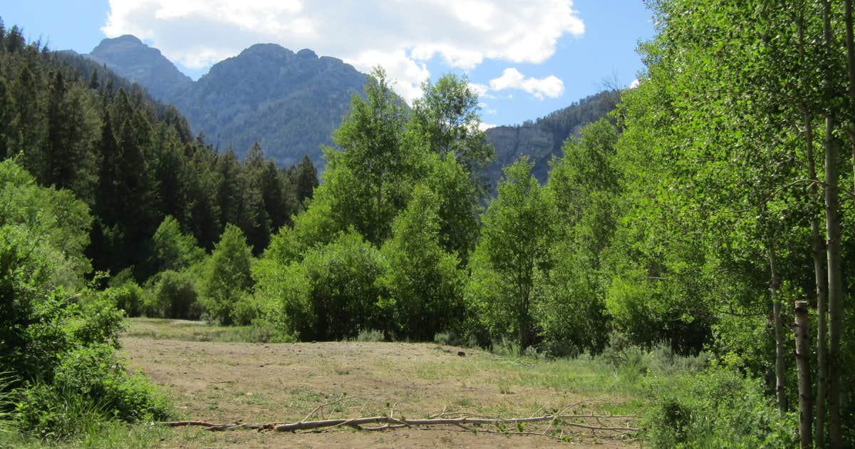Bear Creek Dispersed Campground