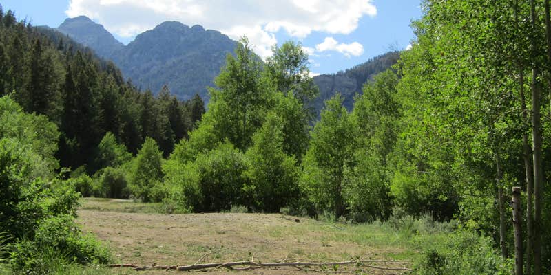 Camper submitted image from Bear Creek Dispersed Campground