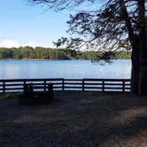 Review photo of Tugaloo State Park Campground by Sally C., July 1, 2021