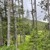 Review photo of Grant Village Campground — Yellowstone National Park by Douglas L., July 1, 2021