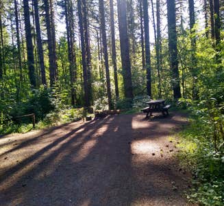 Camper-submitted photo from Fall Creek Campground