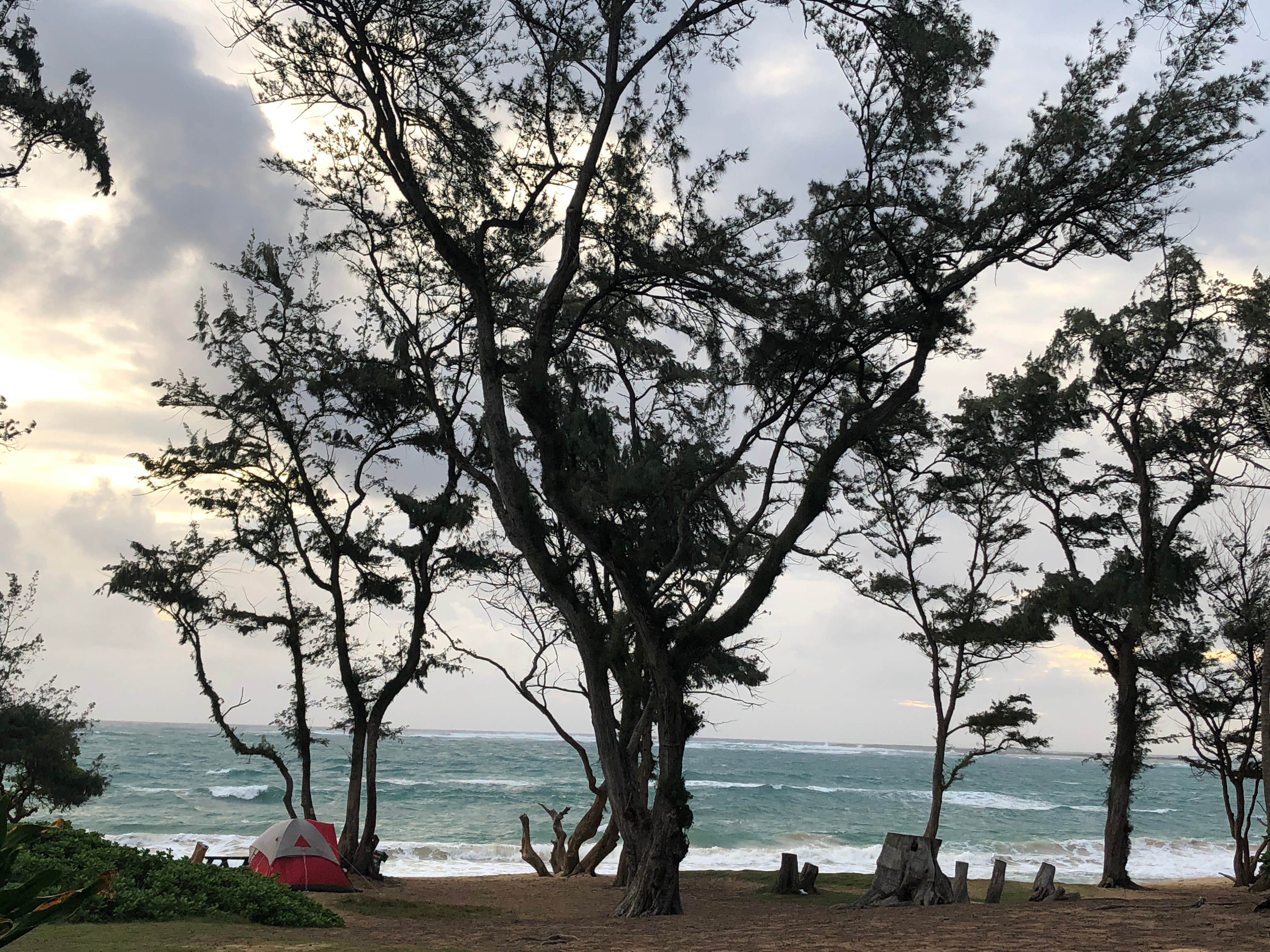 Stephanie Z.'s photo of tent camping at Mālaekahana State Recreation Area Campground near Ocean Pointe, HI