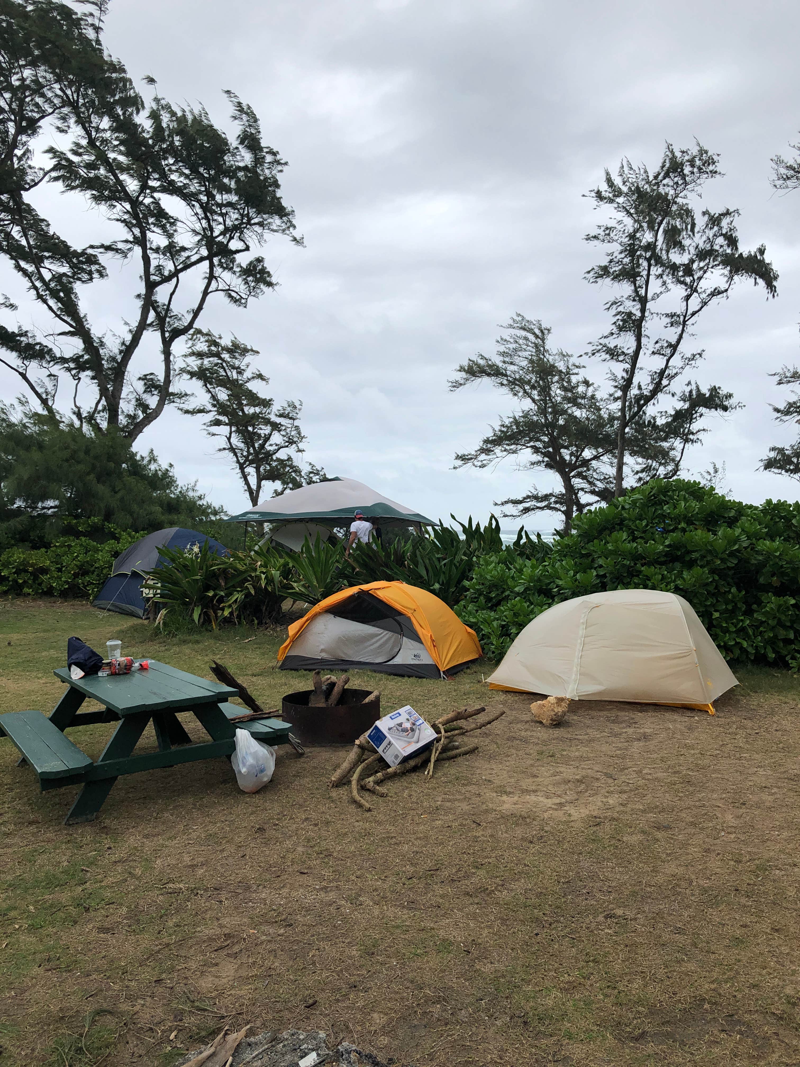Stephanie Z.'s photo of tent camping at Mālaekahana State Recreation Area Campground near Kaneohe, HI