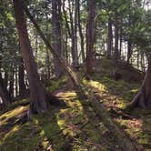 Review photo of Union Bay Campground — Porcupine Mountains Wilderness State Park by Andrea G., June 12, 2018