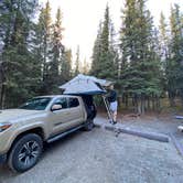 Review photo of Riley Creek Campground — Denali National Park by abby E., July 1, 2021