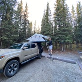 Review photo of Riley Creek Campground — Denali National Park by abby E., July 1, 2021