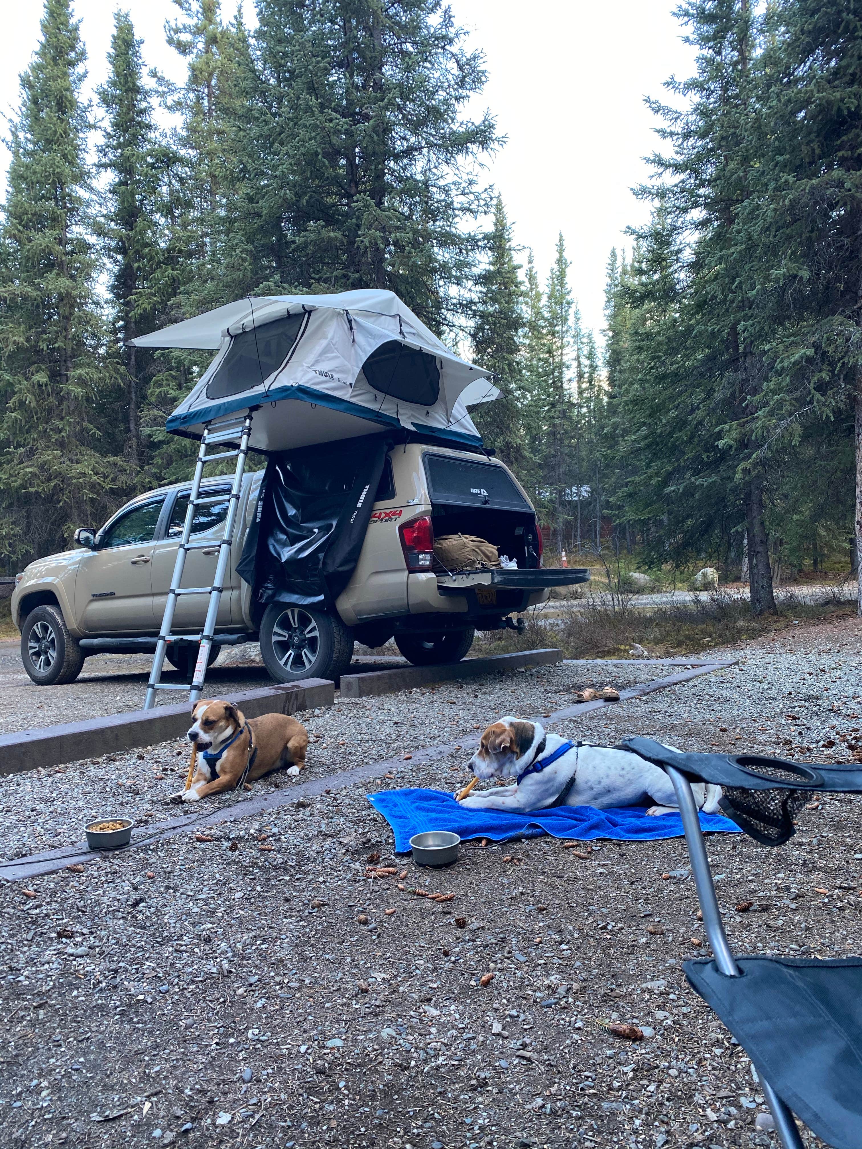 abby E.'s photo at Riley Creek Campground — Denali National Park near Healy, AK