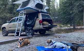 abby E.'s photo at Riley Creek Campground — Denali National Park in Alaska