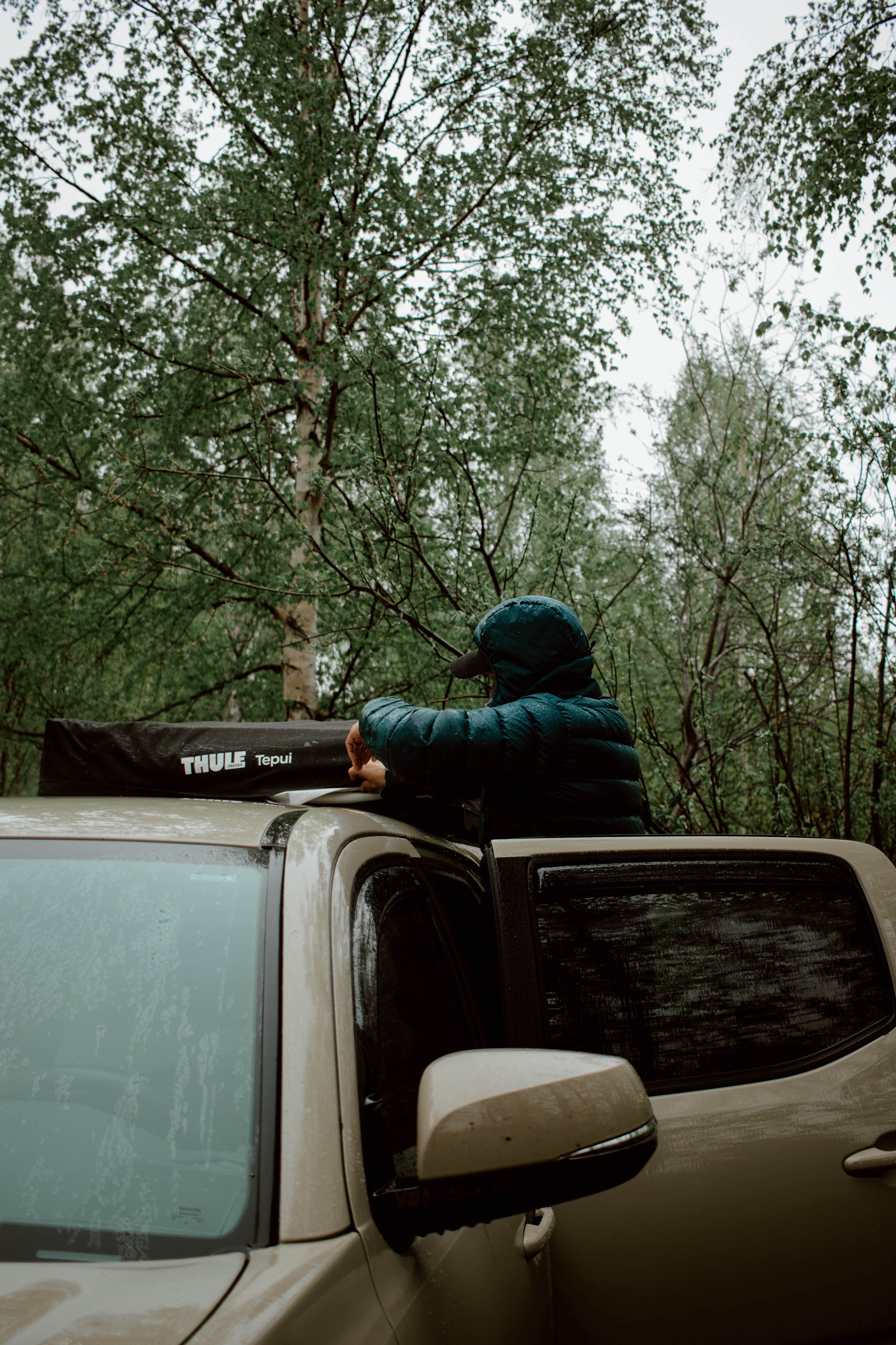 Camper submitted image from Montana Creek Campground - 3