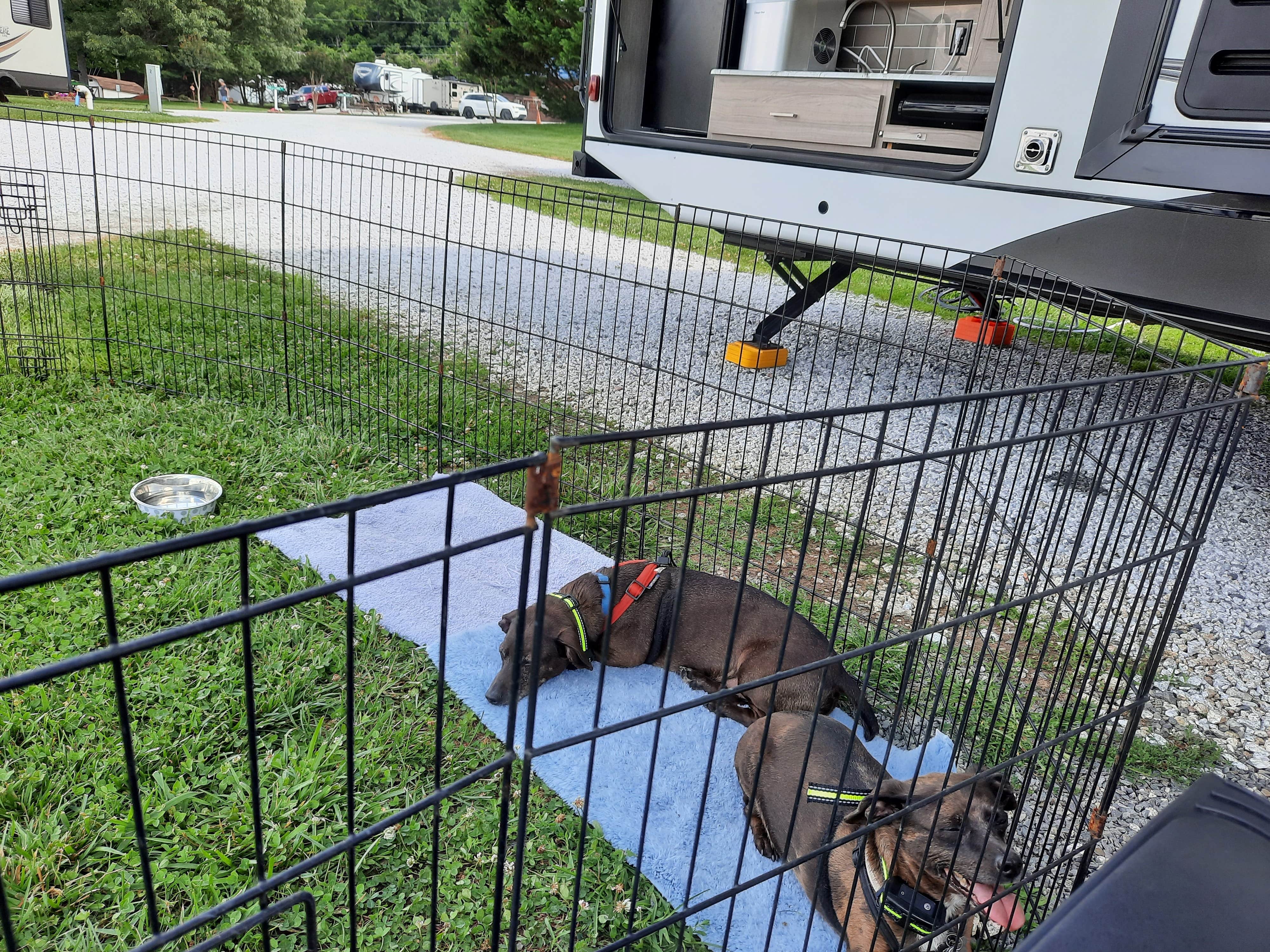 Sally C.'s photo of camping with pets at Mayberry Campground near Mount Airy, NC