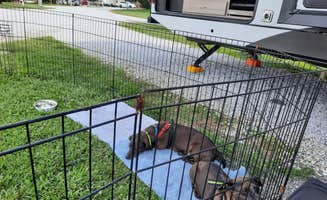 Sally C.'s photo of camping with pets at Mayberry Campground in North Carolina