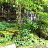 Review photo of Rock Island State Park Campground by Marissa G., July 1, 2021