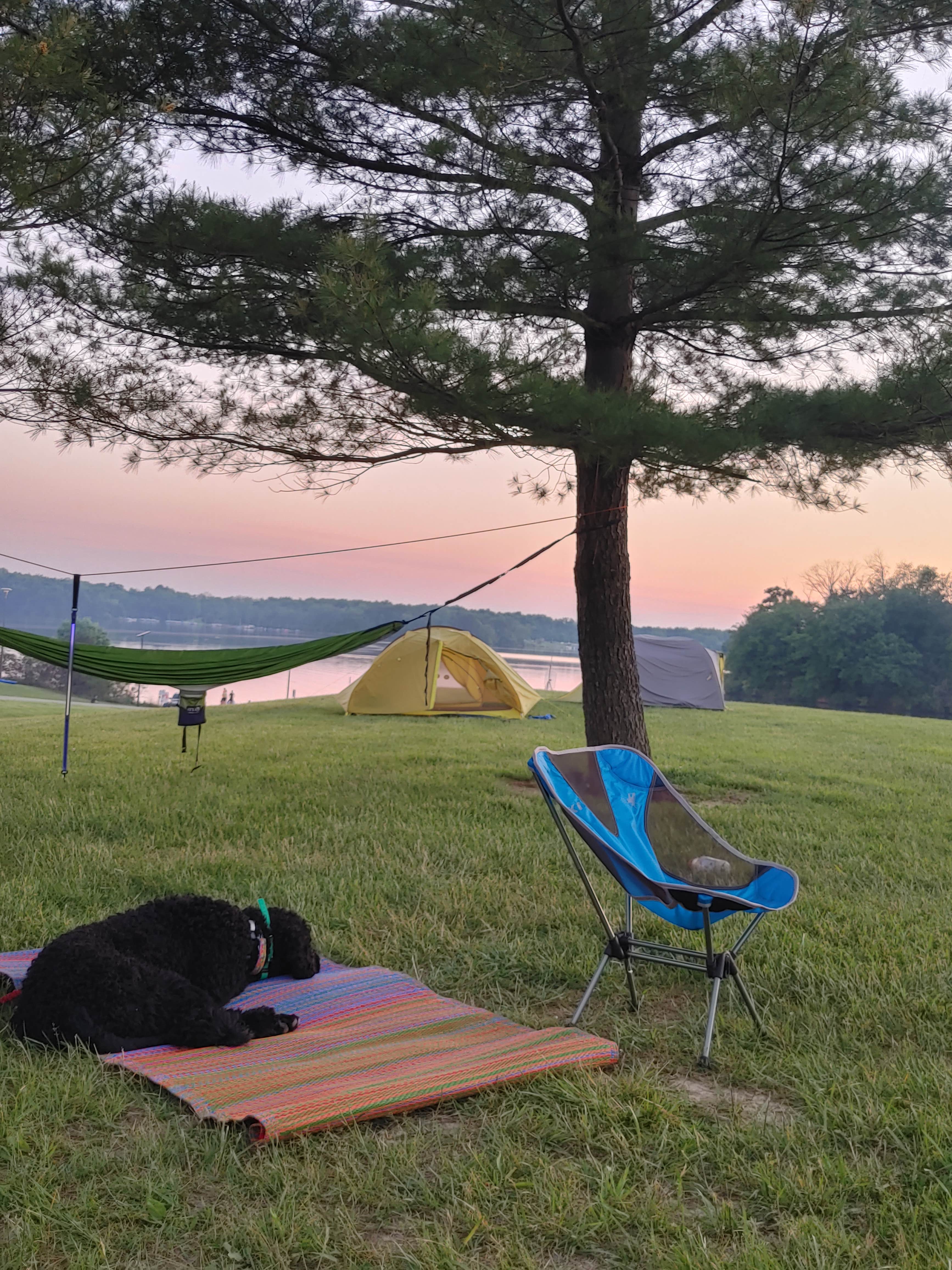 Kenpocentaur K.'s photo of camping with pets at Cowan Lake State Park Campground near Clarksville, OH