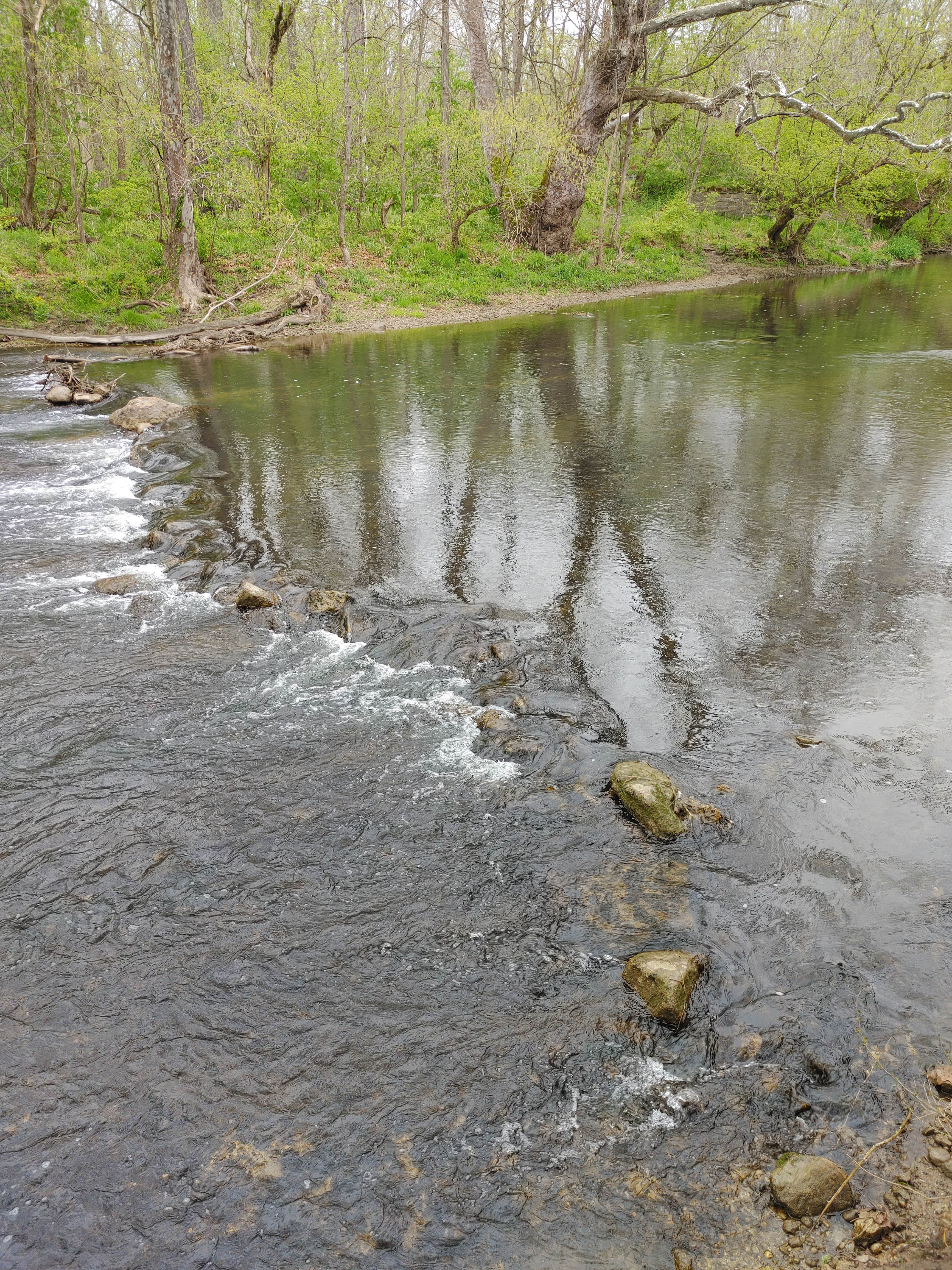 Camper submitted image from Jacoby Road Canoe Launch - 4