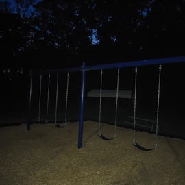 Traditional Swings and none of them are for babies/toddlers.  They do not have an accessible swing for those needing more core supports.
