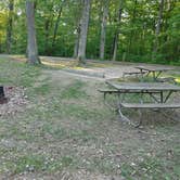 Review photo of A.W. Marion State Park Campground by Kenpocentaur K., July 1, 2021