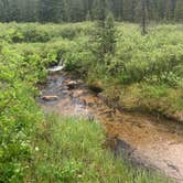 Review photo of Halfmoon Campground by Sage Q., July 1, 2021