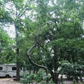 Review photo of Butterfly Camping Resort by Sandra H., July 1, 2021