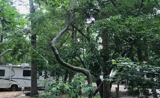 Sandra H.'s photo of rv camping at Butterfly Camping Resort near Highlands, NJ