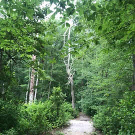 walking trails