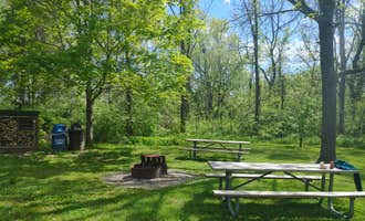 Camping near Constitution County Park: Possum Creek Metro park (Five Rivers Dayton Metro Park) , Liberty, Ohio