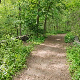 Old roadway into the park before it was a metro park.