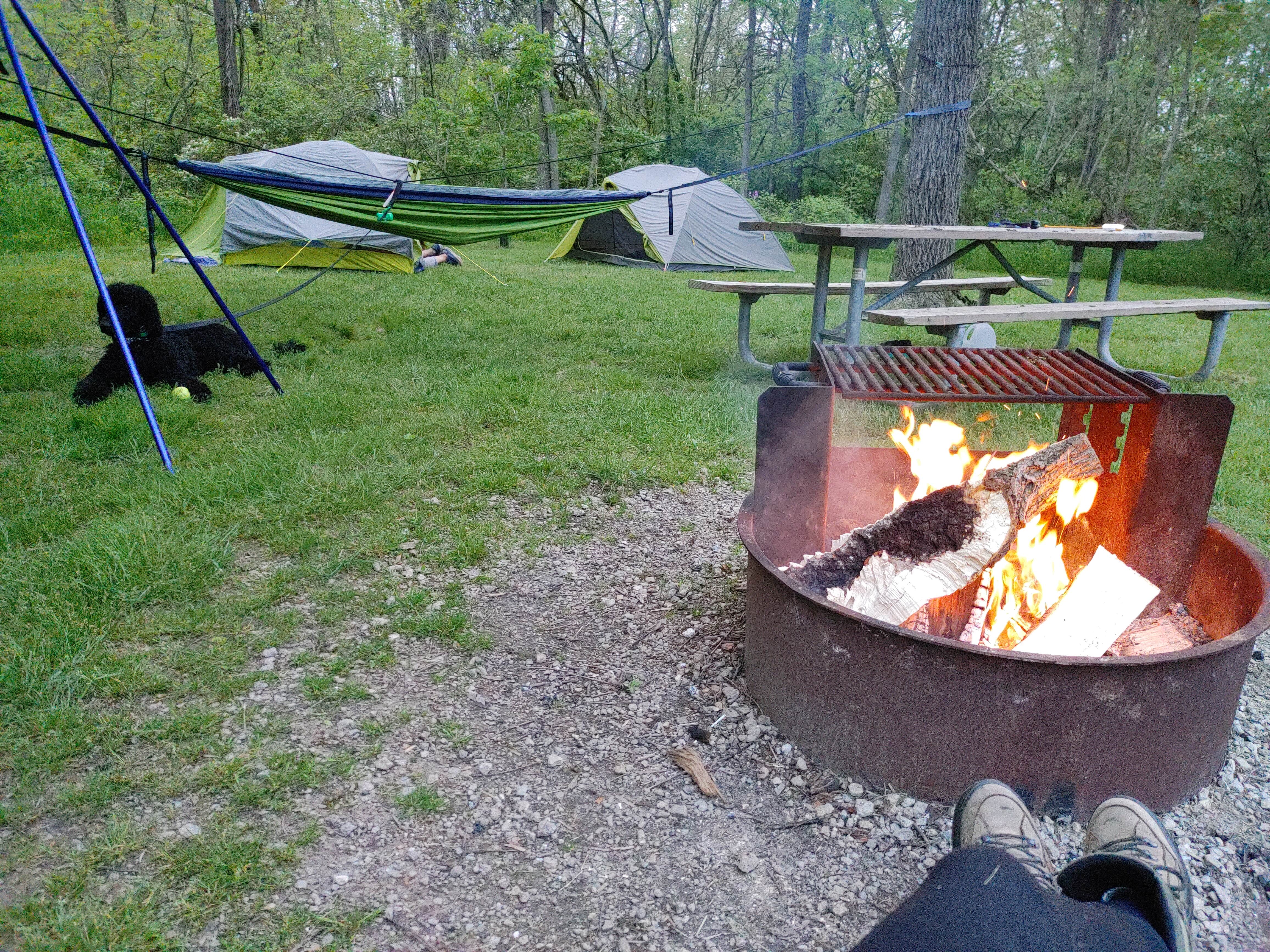 Camper submitted image from Possum Creek Metro park (Five Rivers Dayton Metro Park) - 5