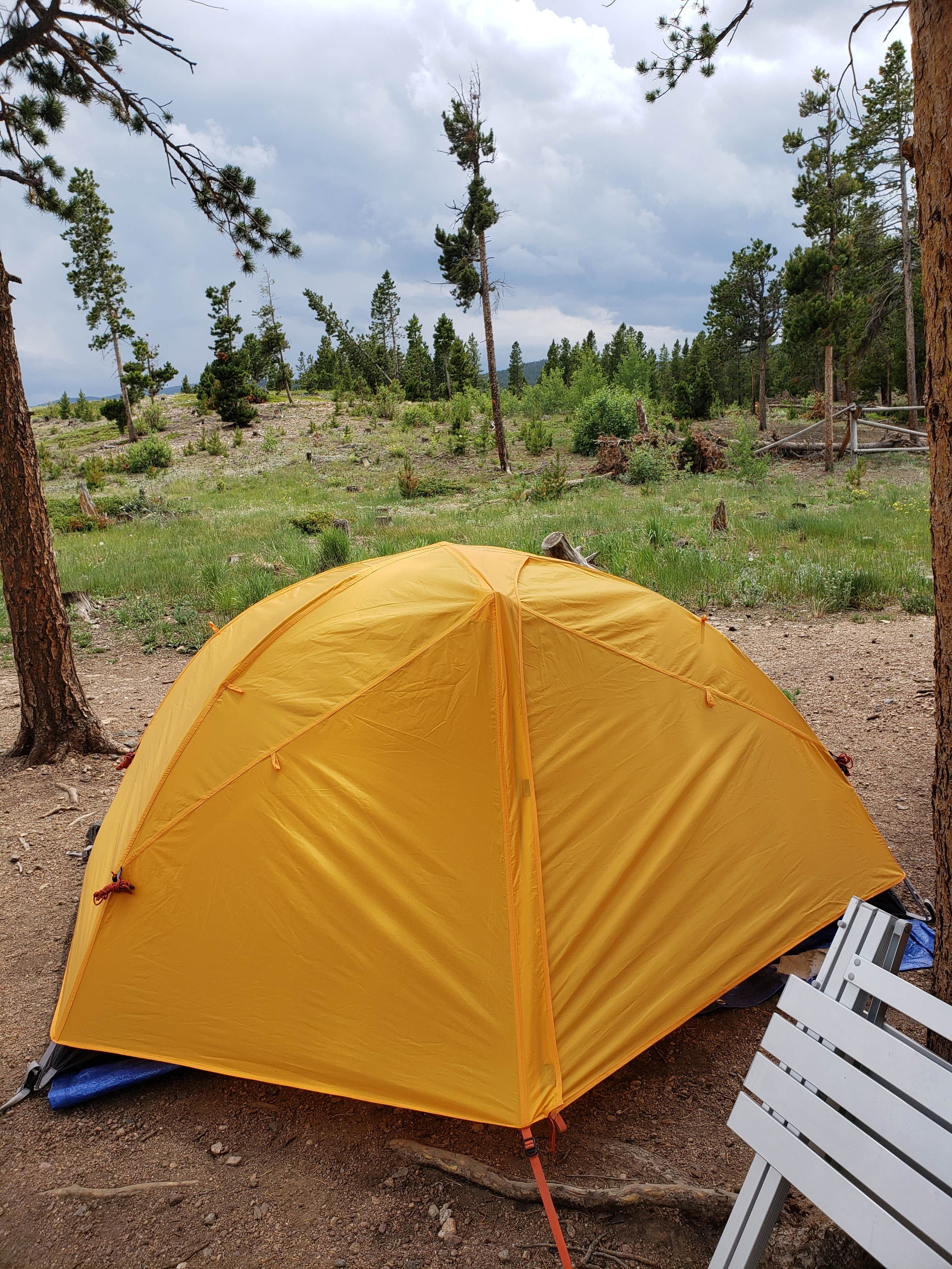 Camper-submitted photo at West Magnolia Campground near Black Hawk, CO