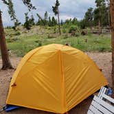 Review photo of West Magnolia Campground by Sean T., July 2, 2021