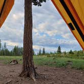 Review photo of West Magnolia Campground by Sean T., July 2, 2021