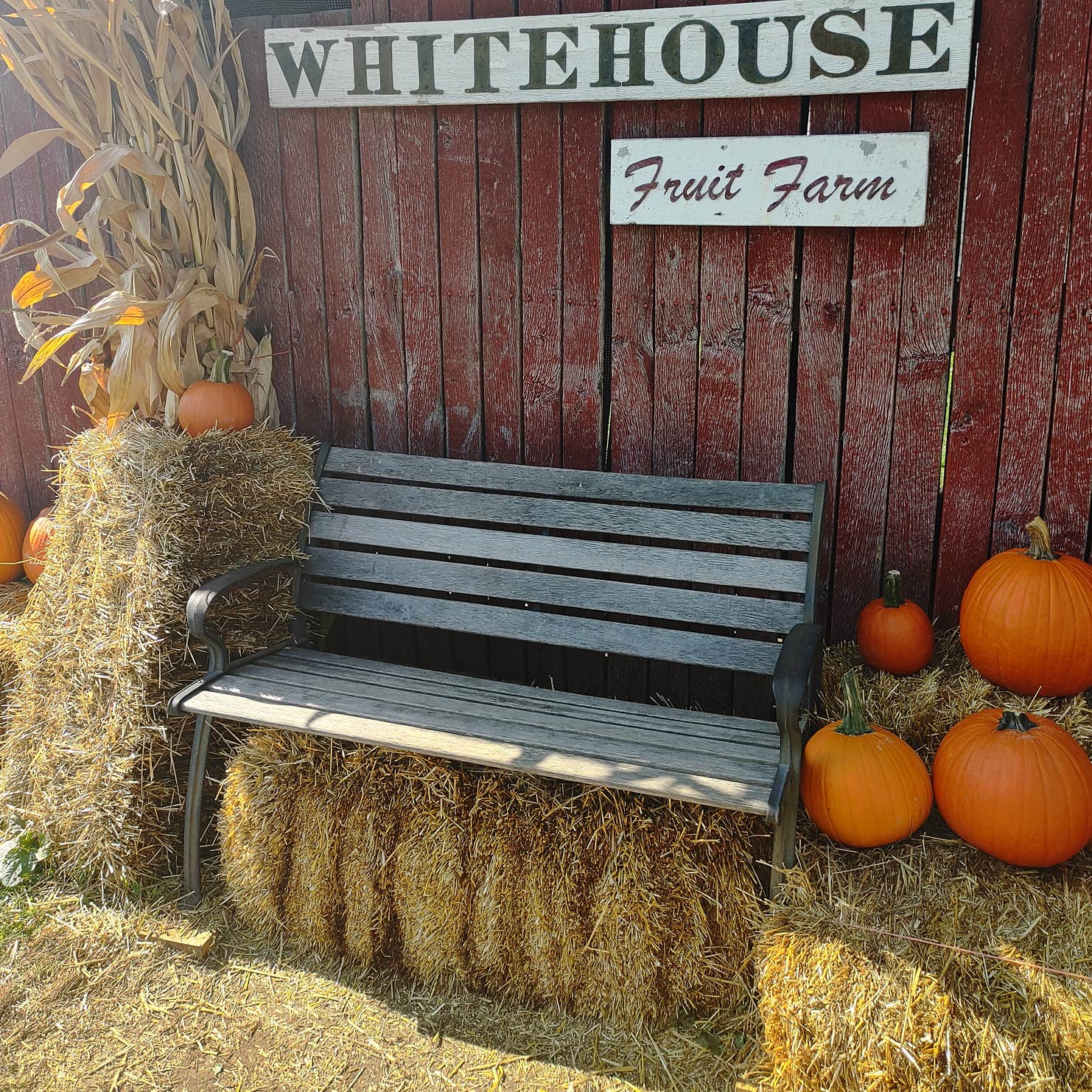 SalemLisbon Ohio KOA Camping The Dyrt