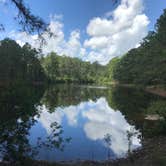 Review photo of Spacious Skies Sandy Run by E G., July 2, 2021