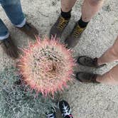 Review photo of Jumbo Rocks Campground — Joshua Tree National Park by Emily F., July 2, 2021