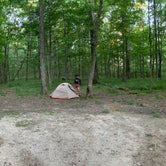 Review photo of Mammoth Cave Campground — Mammoth Cave National Park by Ron W., July 2, 2021
