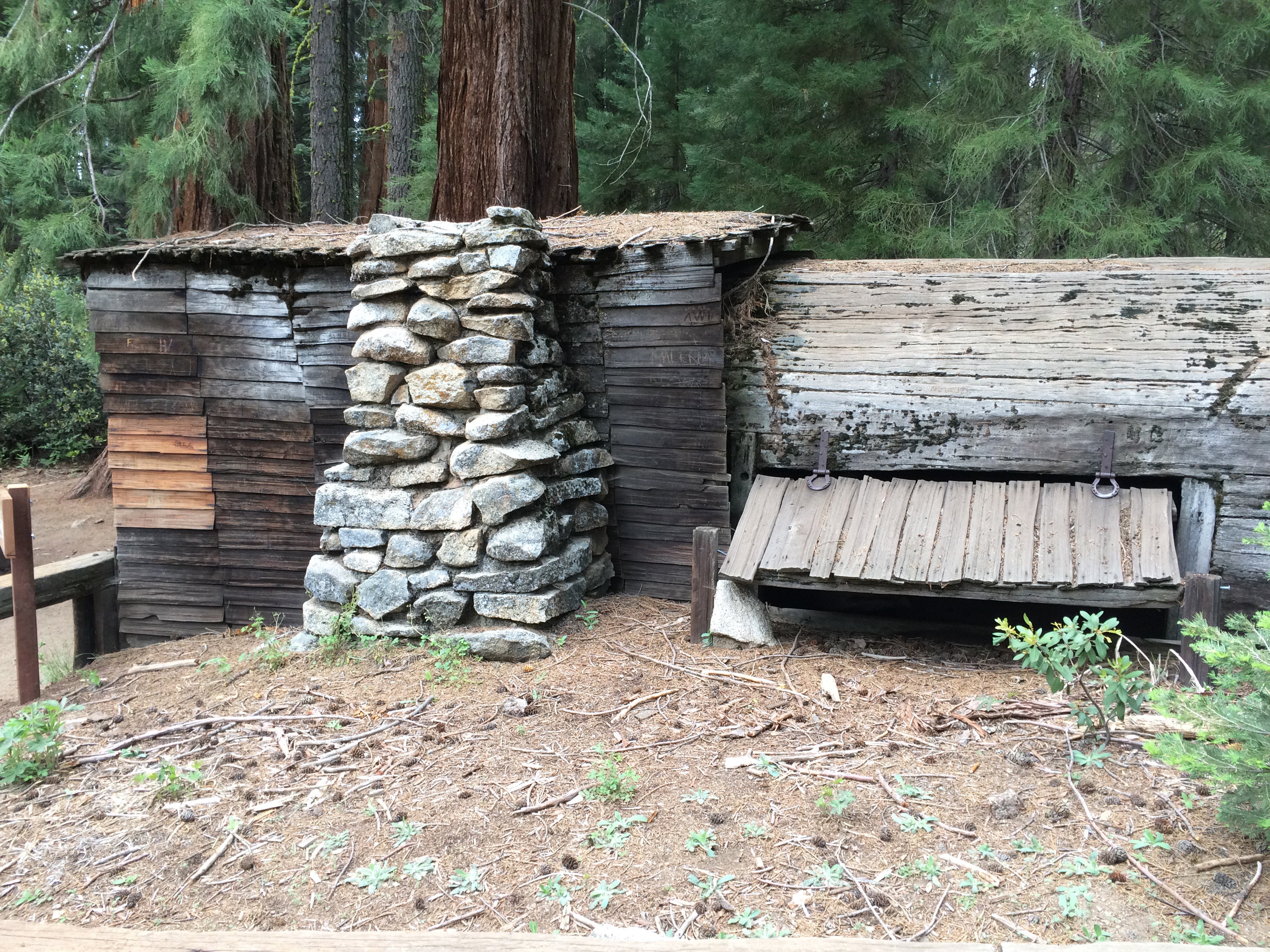 Camper submitted image from Grant Grove Cabins — Kings Canyon National Park - 4