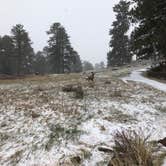 Review photo of Moraine Park Campground — Rocky Mountain National Park by Ron W., July 2, 2021