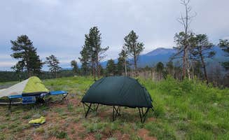derek's photo of a dispersed camping area at Cascade-Chipita Park/Woodland Park in Colorado