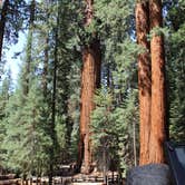 Review photo of Grant Grove Cabins by Celina M., June 12, 2018