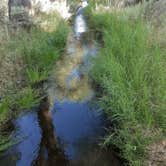 Review photo of Dayton State Park Campground by kathleen K., July 2, 2021