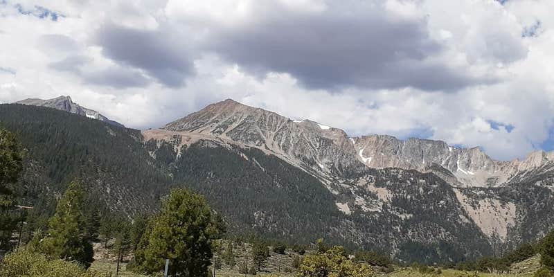 Camper submitted image from Lower Lee Vining Campground