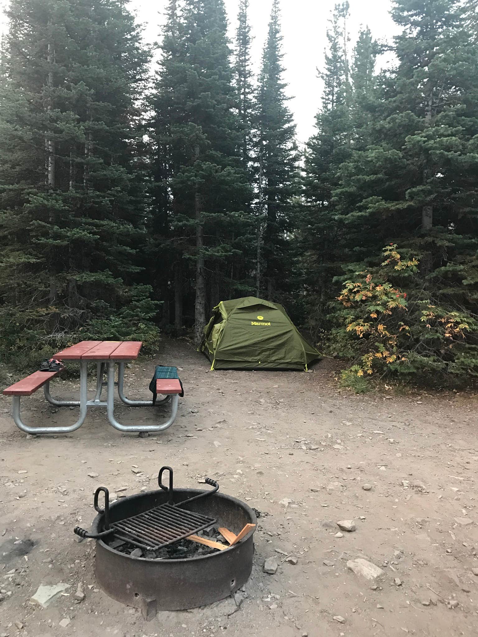 Lena L.'s photo at Two Medicine Campground — Glacier National Park near Cut Bank, MT